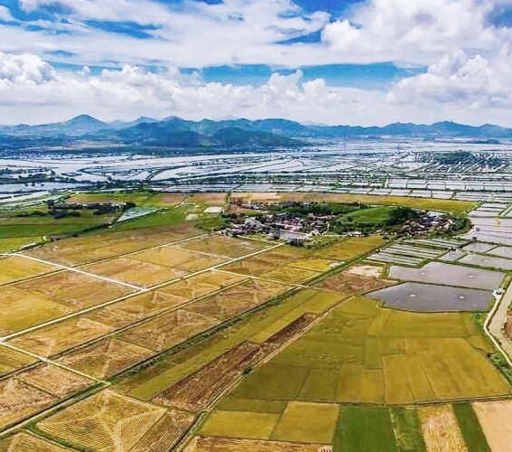 第三次全國農(nóng)業(yè)普查 我國農(nóng)業(yè)機(jī)械化率提高
